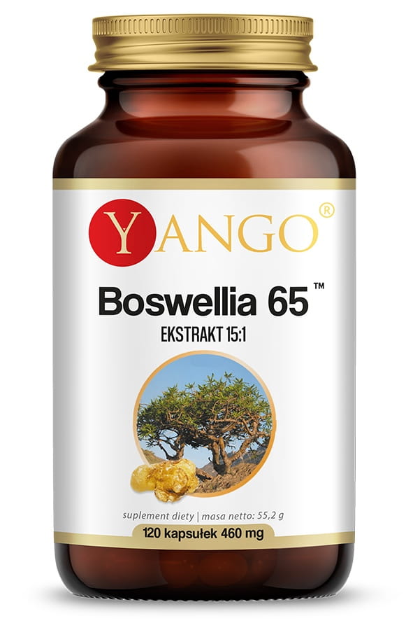 Boswellia 65 120 gélules YANGO