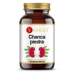 Extrait de Chanca piedra 370 MG 90 gélules YANGO