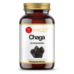 Extrait de Chaga 10% polysaccharides 90 gélules YANGO