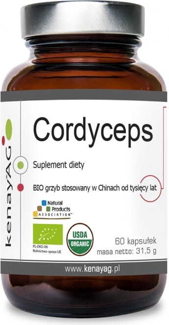 Eco Cordyceps Champignon 60 gélules KENAY