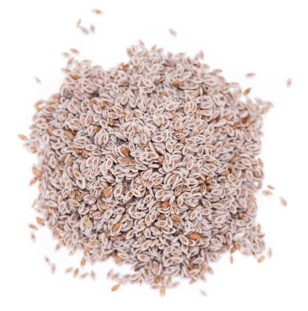 Graines de plantain BIO (matière première) (25 kg)