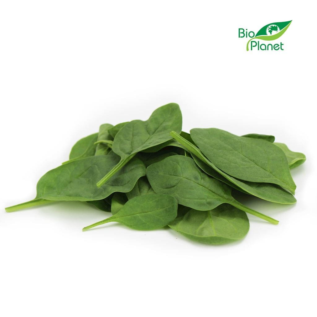 Épinards frais non lavés BIO (Polonais) (environ 0,50 kg)