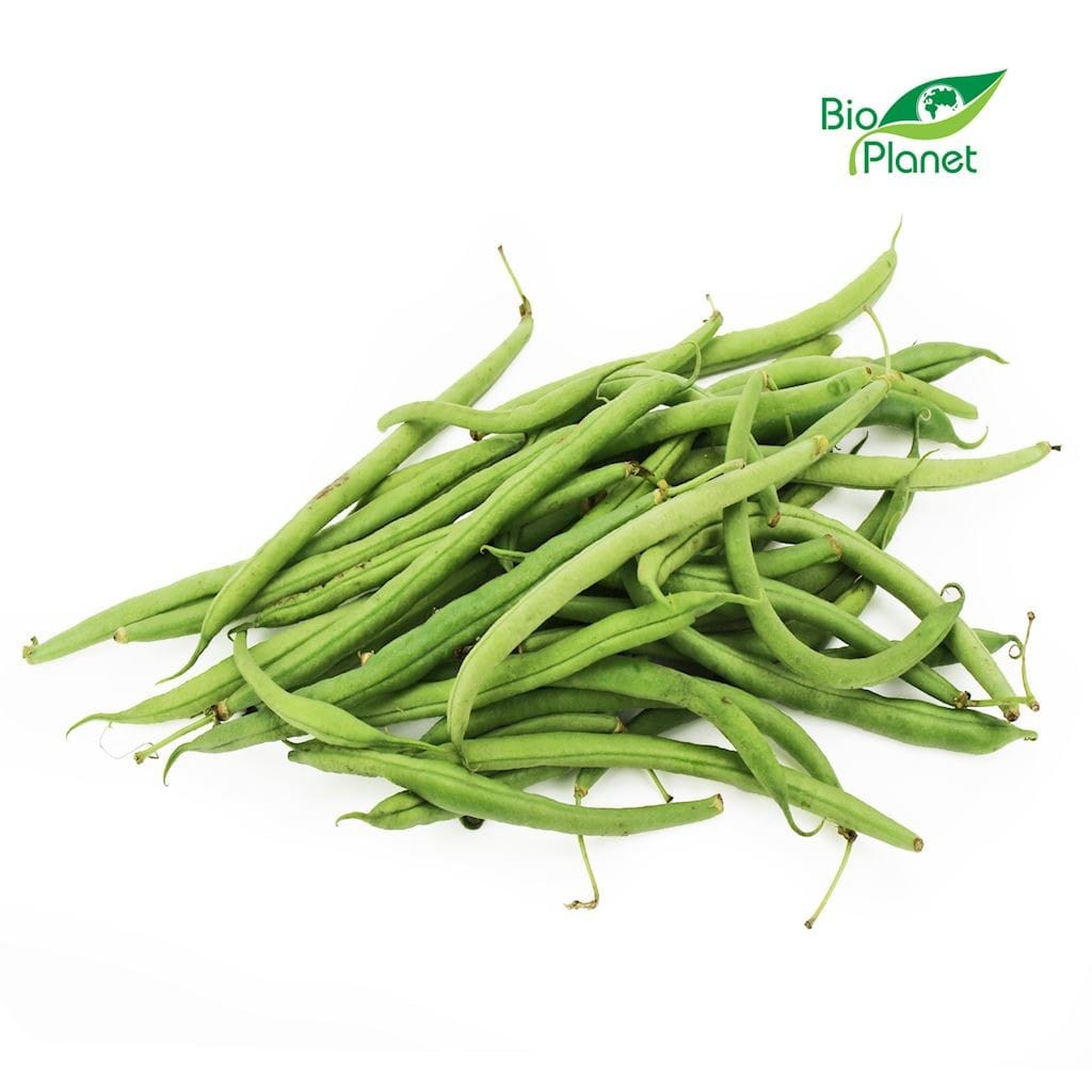 Haricots verts bio (environ 0,50 kg)