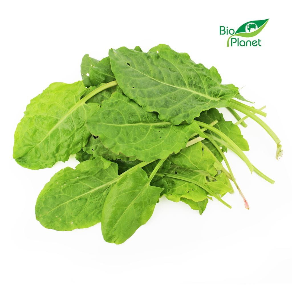Oseille fraîche BIO (Polonaise) (environ 100 g)