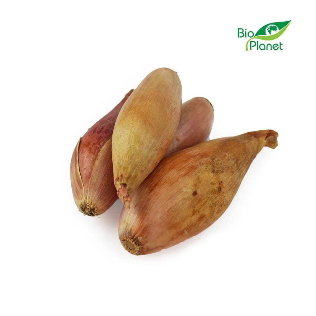 ÉCHALOTE FRAÎCHE BIO (environ 0,25 kg)