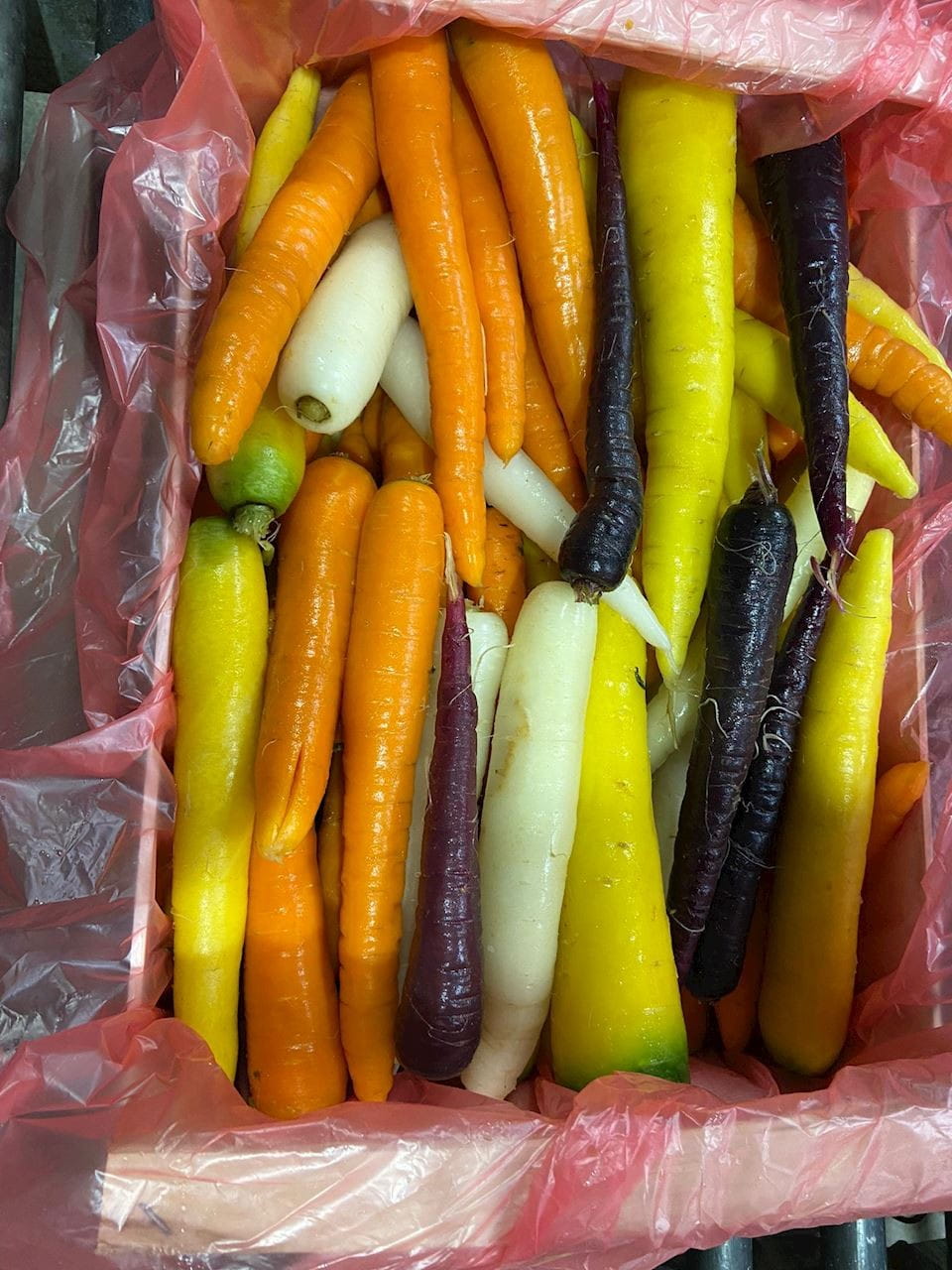 MULTIPACK (kg) - CAROTTE COLORÉE JEUNE FRESH BIO (environ 6 kg)