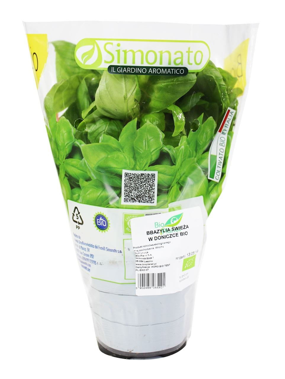 Basilic frais en pot BIO (1 pièce)