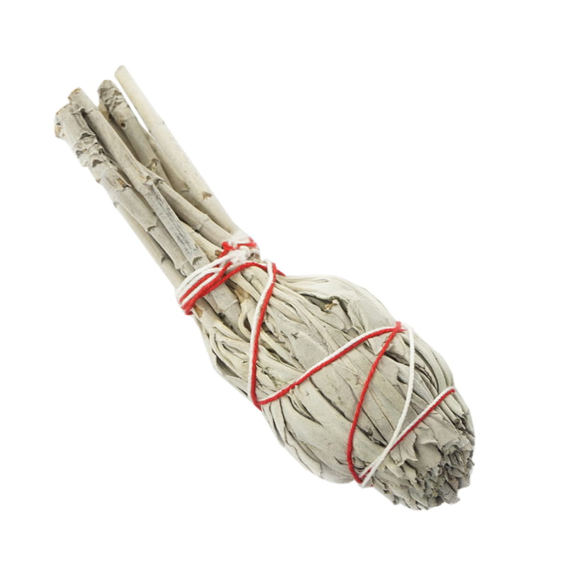 Sauge blanche, botte de 20g SALVIA APIANA